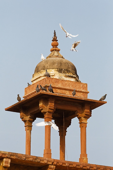 Fatehpur Sikri-153